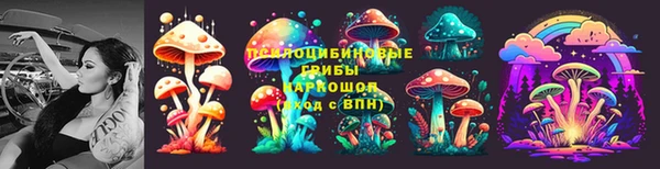 дмт Богородск