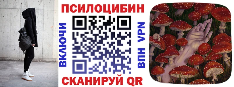 Галлюциногенные грибы прущие грибы  Купить  Курчалой 